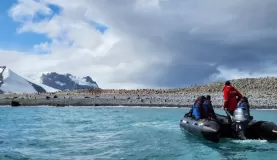 Gorgeous views of Greenwich Island and the wildlife on shore.