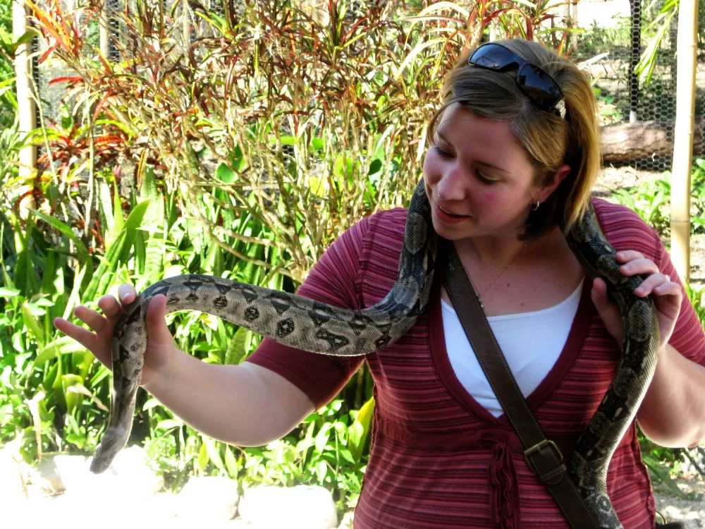 Holding a boa constrictor at the Belize Zoo