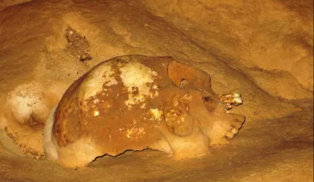 Human remains from a Maya sacrifice lay calcified on the floor of the ATM cave