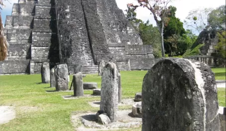 A row of stella and altars - the Mayan history