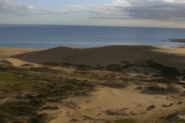Seaside sand dunes