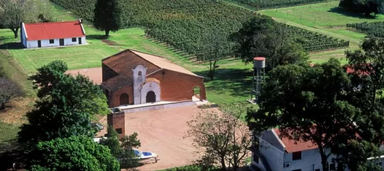 Church and vineyards