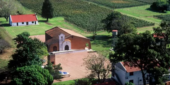 Church and vineyards
