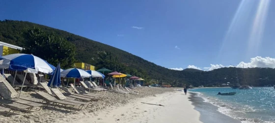 Umbrellas and sunbeds lined up along the White Bay Beach of Jost Van Dyke, British Virgin Islands