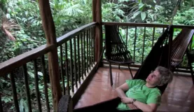 Our private jungle balcony