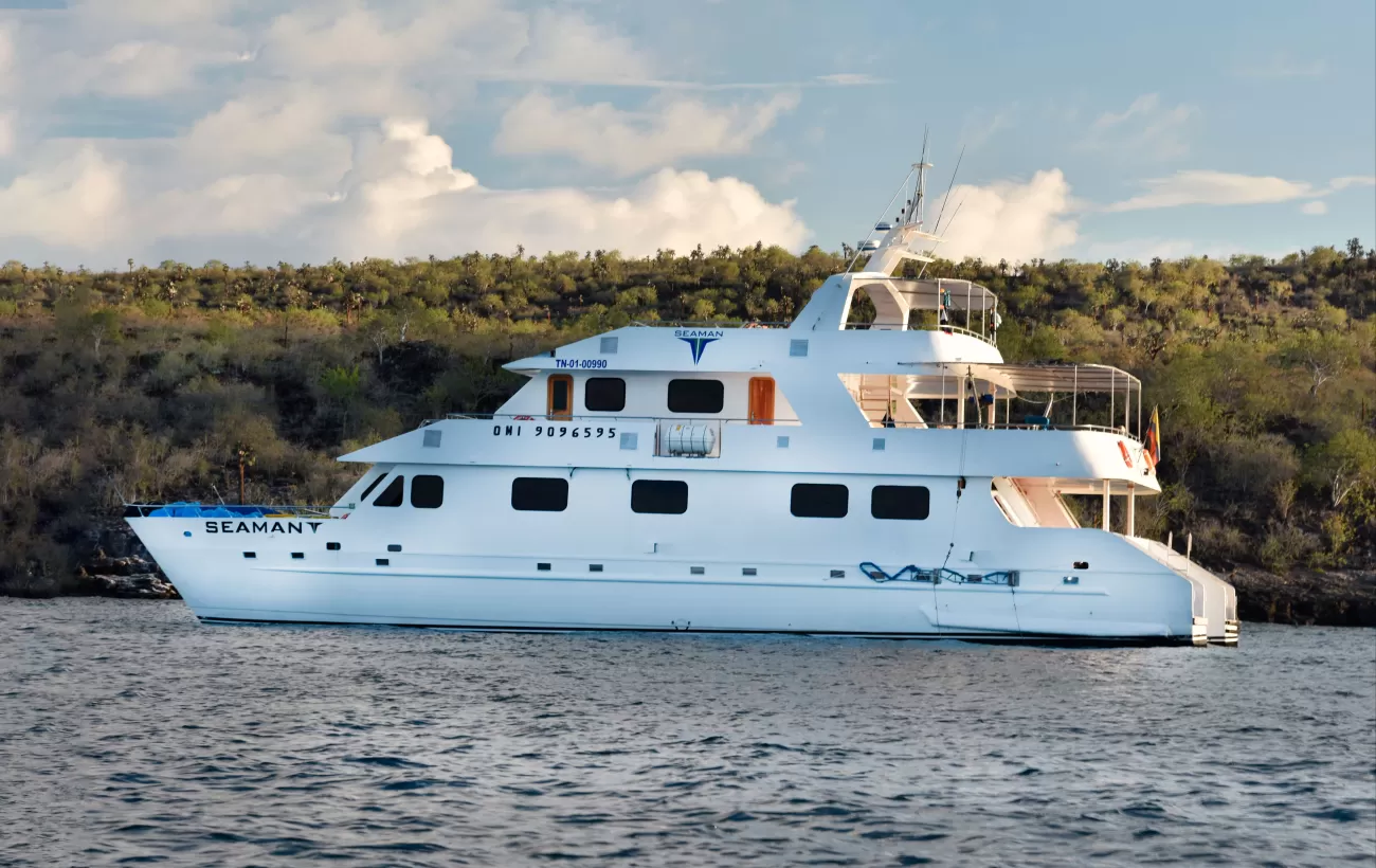 Seaman Journey ship