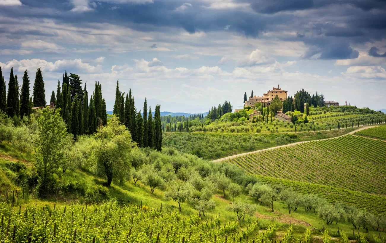 The Chianti Hills famous vineyards