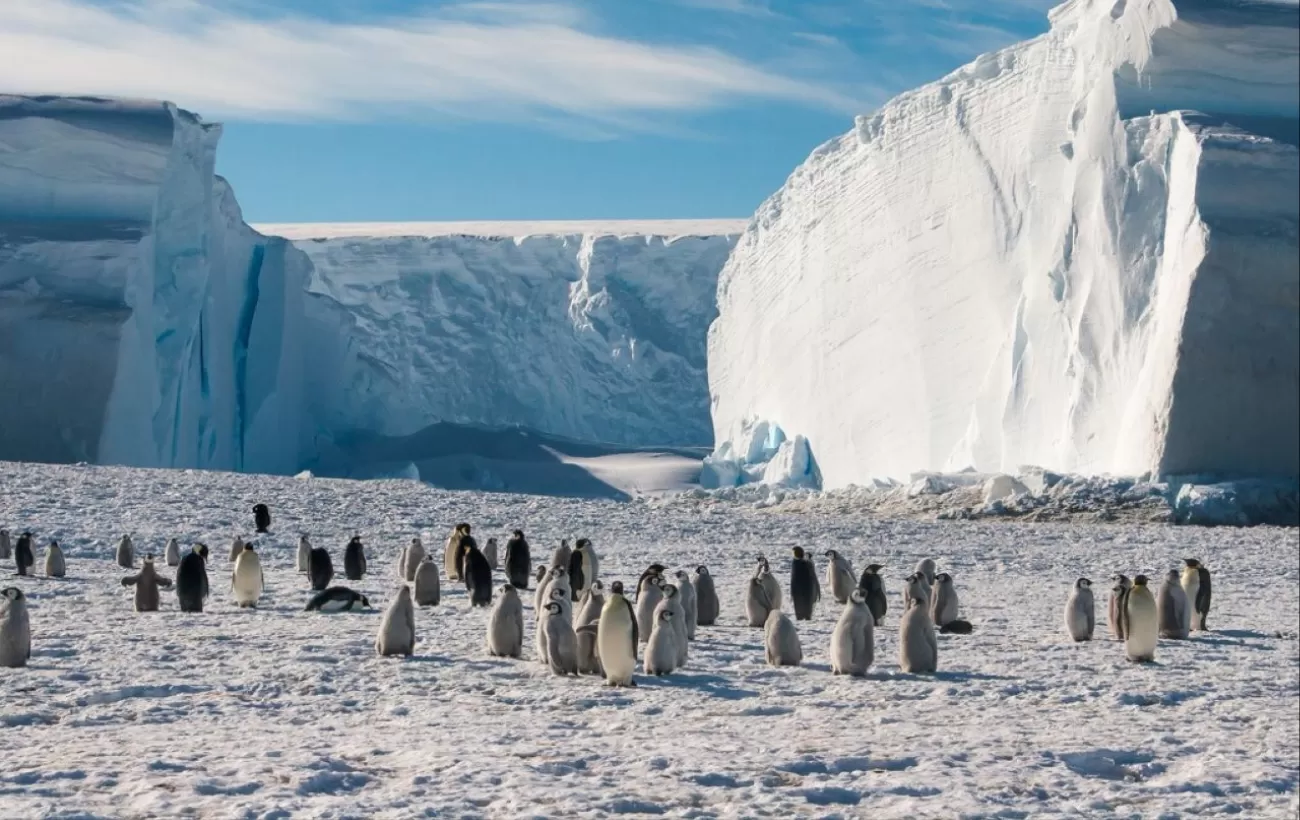 Antarctic Tour Operators' Fuel Consumption to be Analysed as They Embark on  Climate Strategy - IAATO