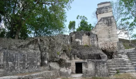 Back of South Acropolis-Tikal