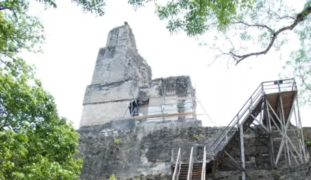 The stairs to Temple II-Tikal