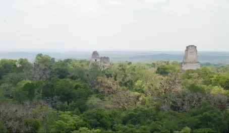 Spell Binding View of Tikal from Top of Temple IV