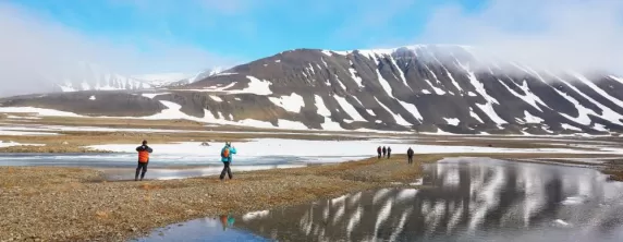 North Spitsbergen Polar Bear