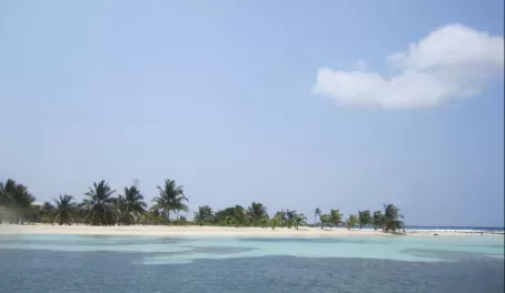 Glovers Reef-Middle Caye