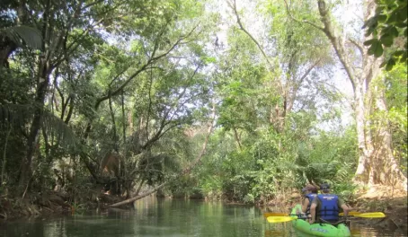 Kayaking Boom Creek 