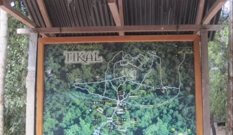 Tikal Site Map