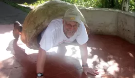 trying on a giant tortoise carapace