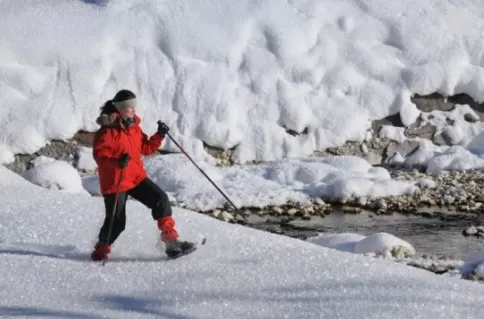 Learn snowshoeing techniques from your skilled expedition team