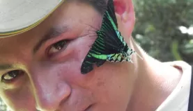 Not a butterfly, but a beautiful moth likes Pepe's sweat