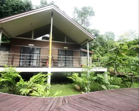 Rainforest Lodge