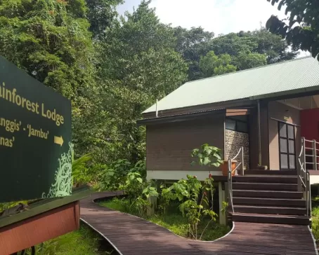 Rainforest Lodge Outside