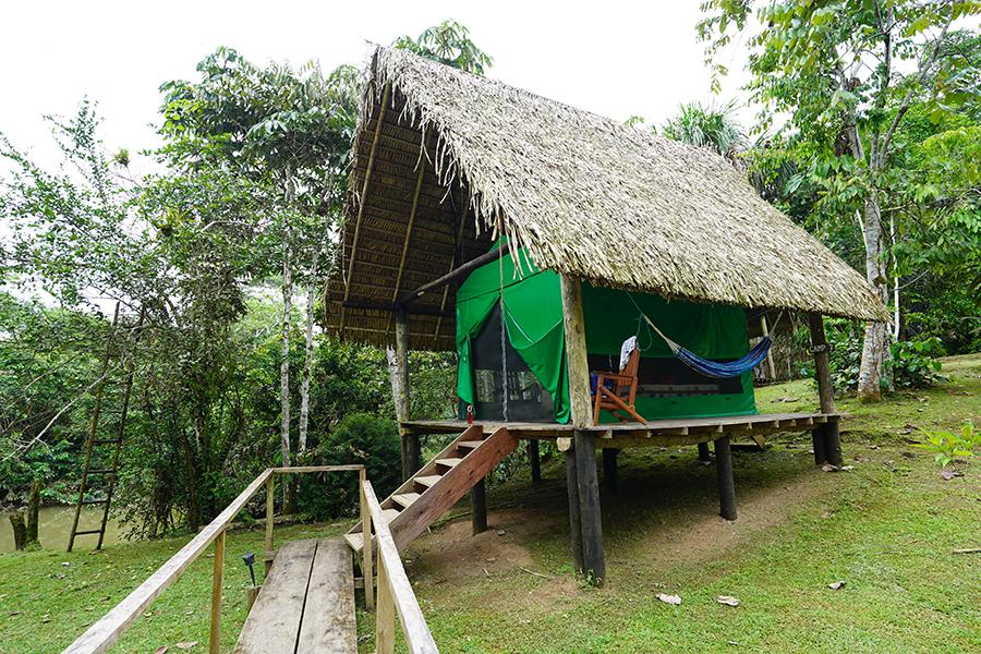 Camping Yasuni National Park Yasuni National Park - Photos & Trips from ...