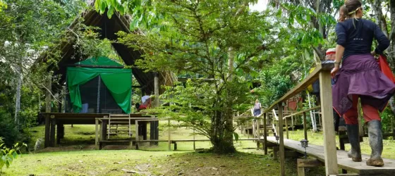 Yasuni Park Campsite