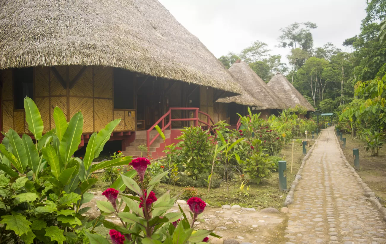 4Day Trip Discovering the Sumak Kausay Way of Life in Amazonia at Napo
