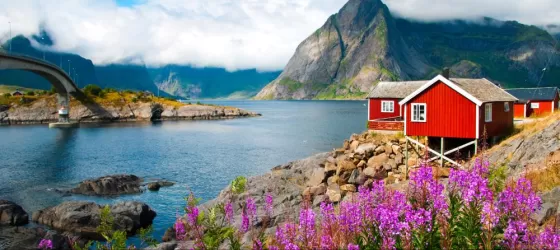 Landscape with red fisherman houses on Lofoten islands, Norway