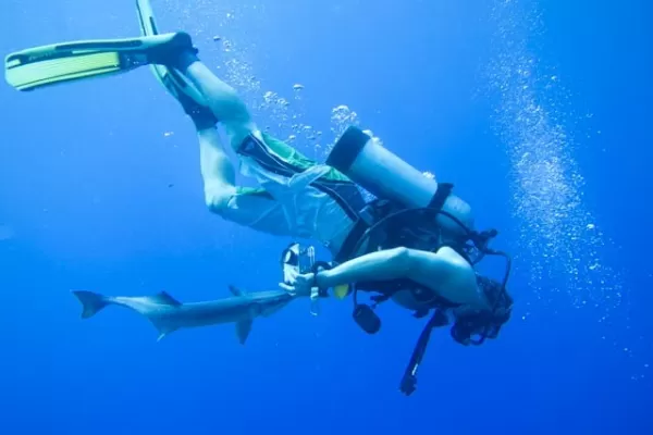 A diver gets a love bite from a remora