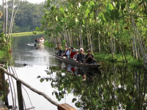Wildlife watching in the Amazon in traditional dugout canoes