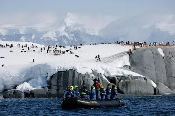 View of penguins on a Zodiac excursion in Antarctica