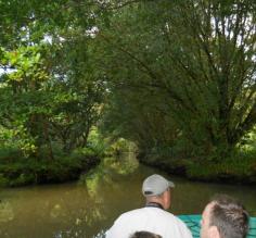 Canal Trip Tortuguero
