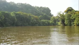 River Tortuguero