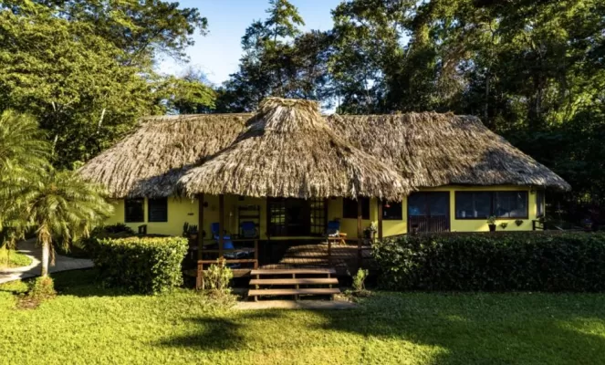 Thatched Cabanas