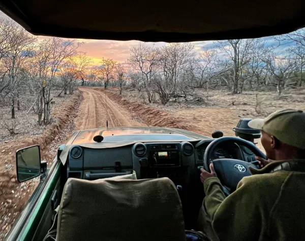 Safari game drive in Majete Wildlife Reserve