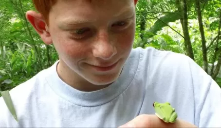 Finding a tree frog in Costa Rica