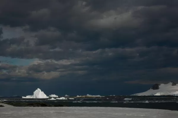 Icebergs at Stonington Island