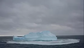 This iceberg calved, which created this ring. So loud!