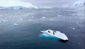 Seals on an iceberg, Lemaire Channel