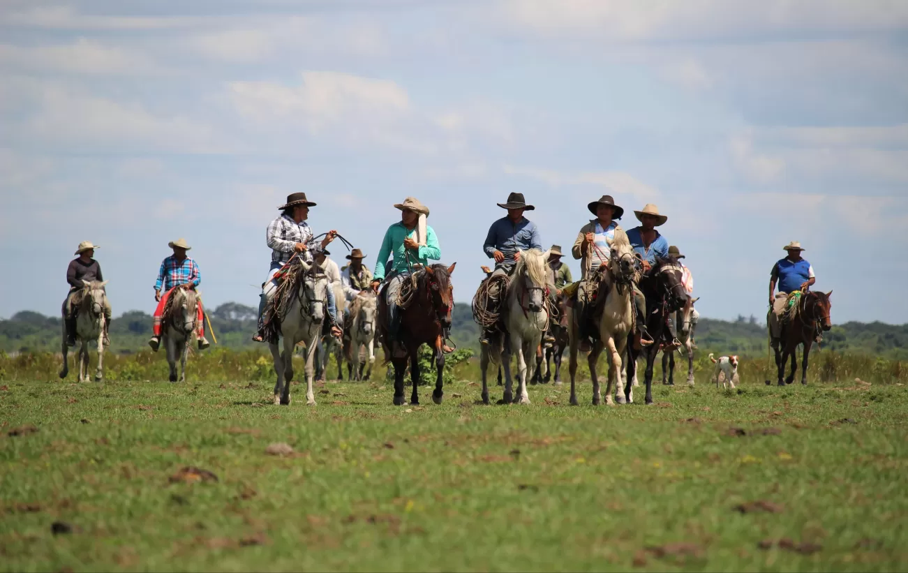 Horseback Riding in El Encanto de Guanapalo Nature Reserve