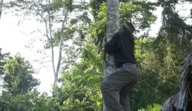 Eme shows us how to climb a tree like a Huaorani