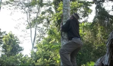 Eme shows us how to climb a tree like a Huaorani