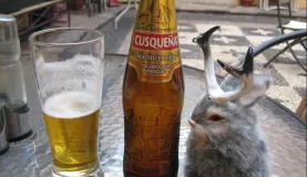 Peruvian beer time with Jackie Lope