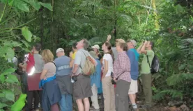 Jungle hike on Costa Rica tour