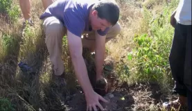 Planting trees in Peru