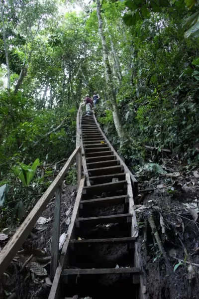 Huaorani Campsite, Nenkepare