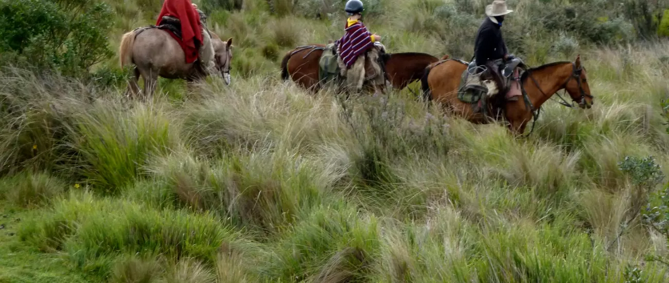 Family horseback riding in Ecuador