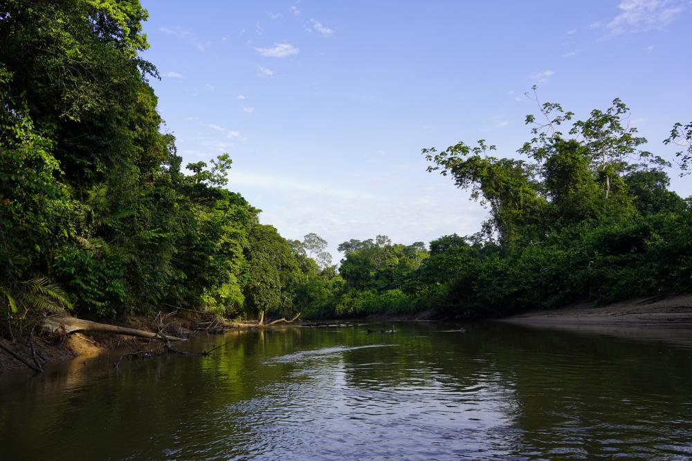 Camping Yasuni National Park Yasuni National Park - Photos & Trips from ...