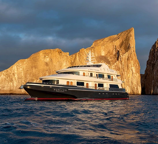 Galapagos Horizon