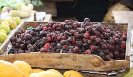 Mangoes and blackberries in the market in Quito